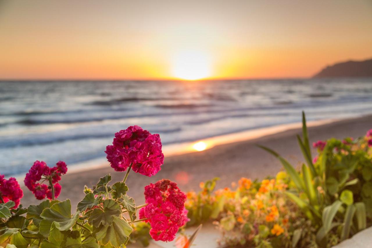 Dandidis Seaside Pension Agios Gordios  Dış mekan fotoğraf
